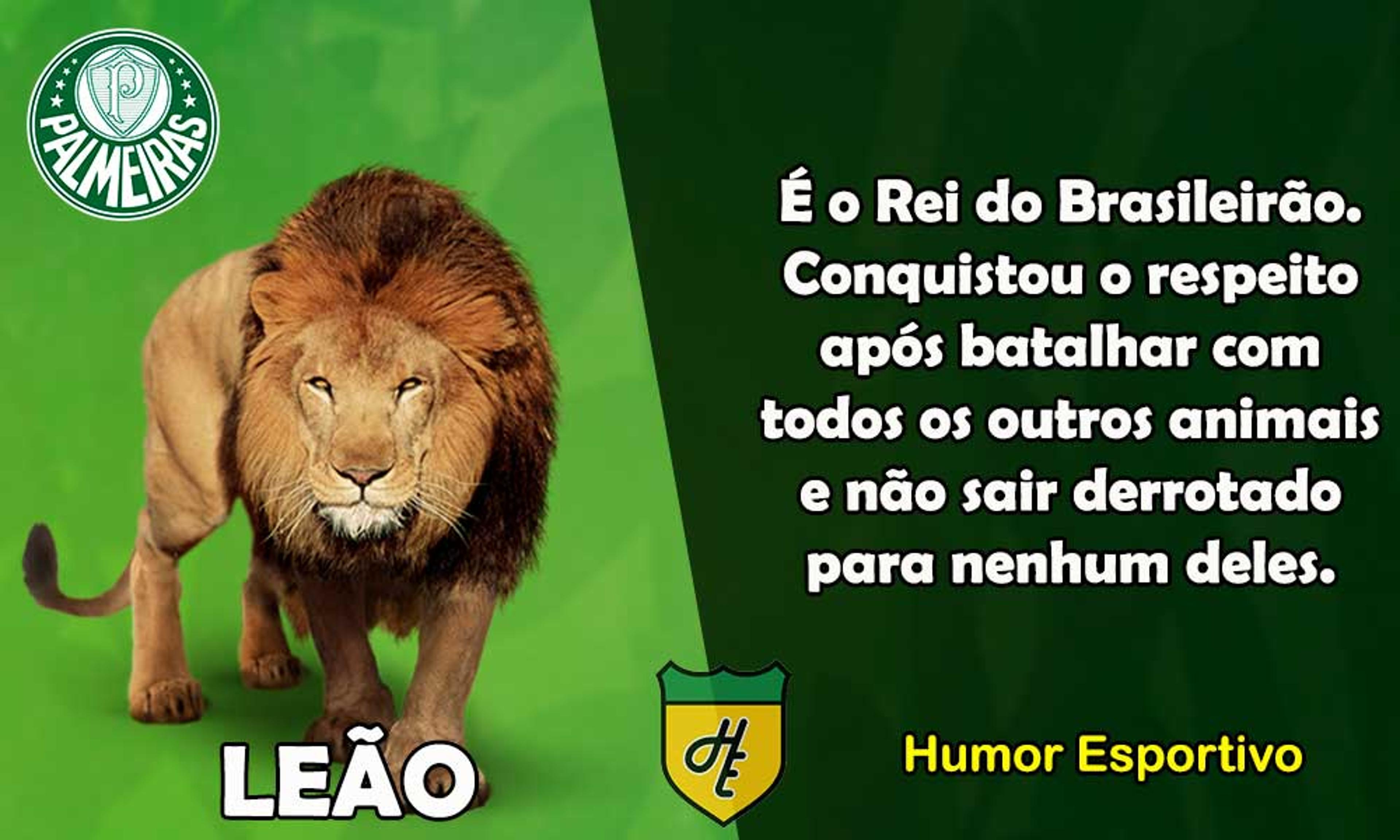 Qual animal representaria cada clube do Brasileirão? Confira!