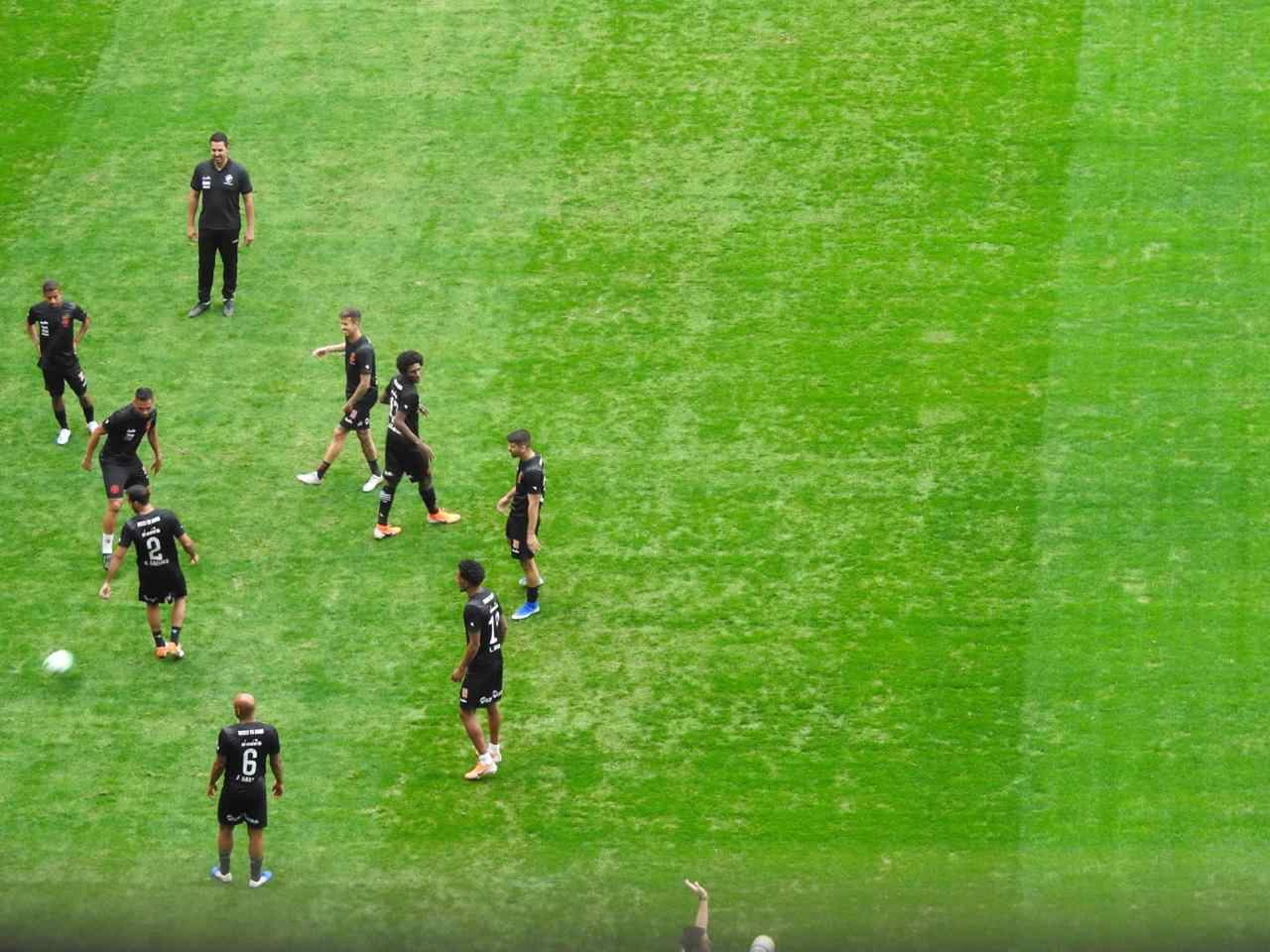 Fungo afeta gramado do Allianz Parque para Palmeiras x Vasco