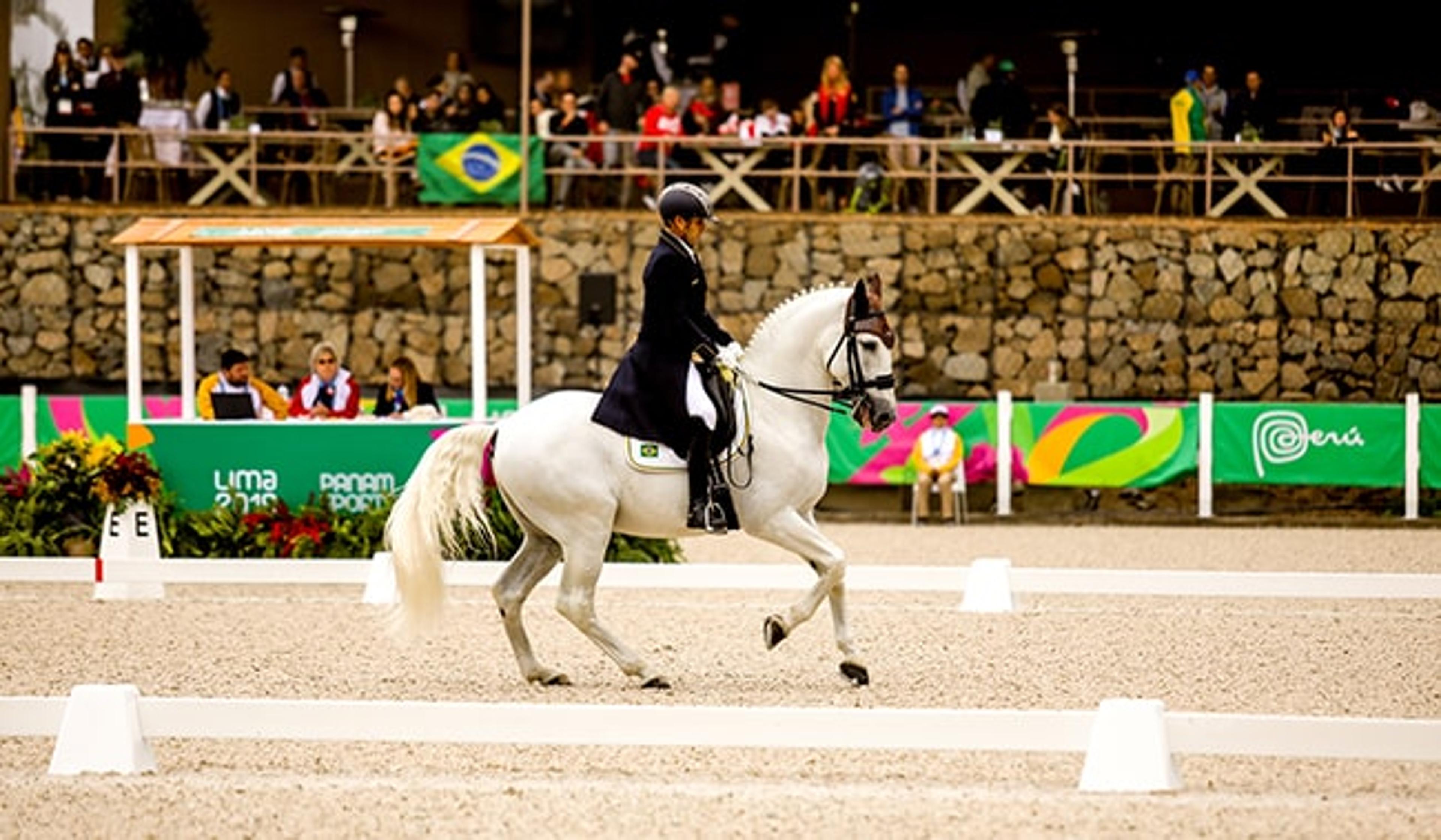 Equipe brasileira de hipismo garante vaga na final do adestramento no Pan