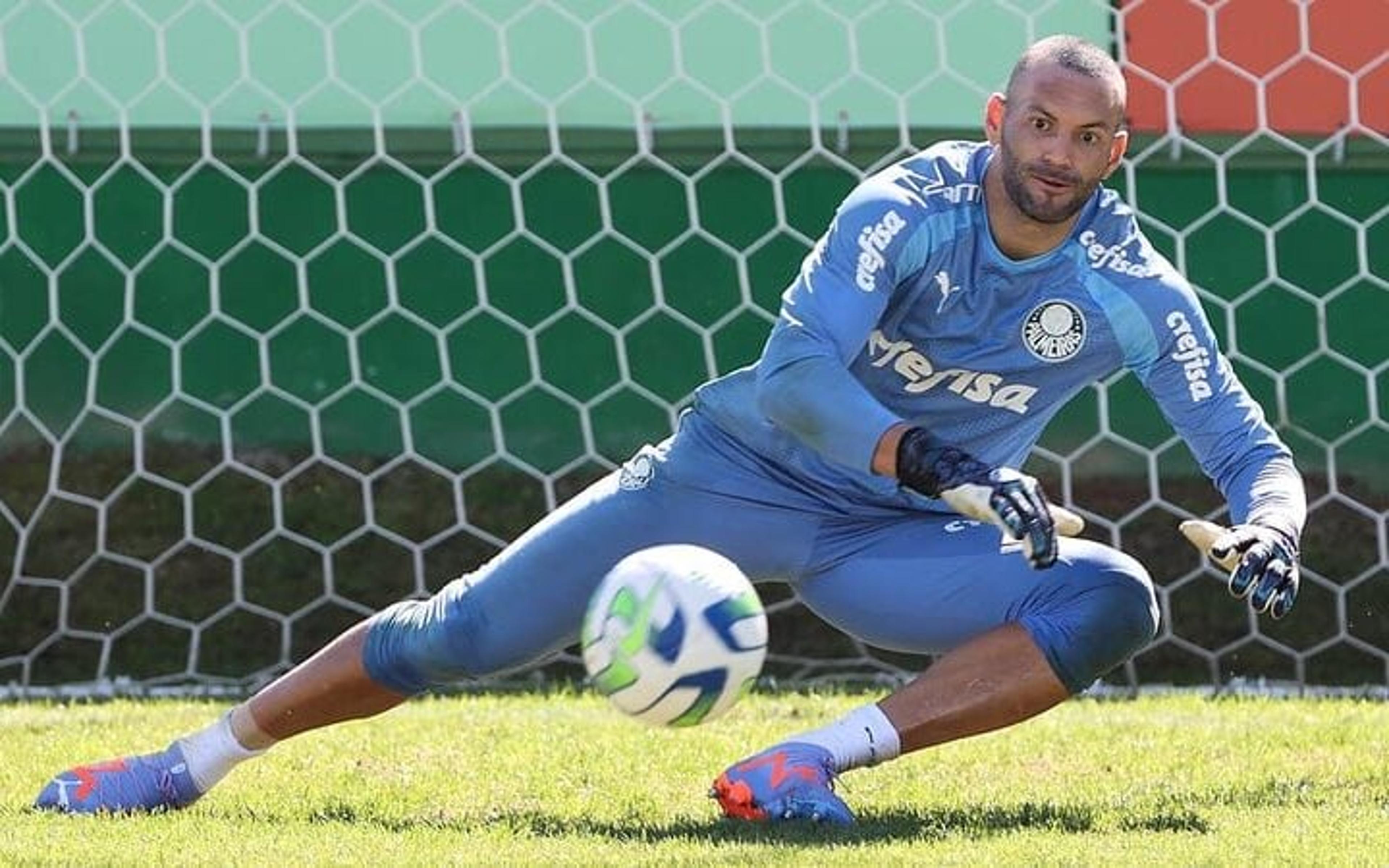 Palmeiras se reapresenta, e Weverton comemora recorde atingido na Libertadores