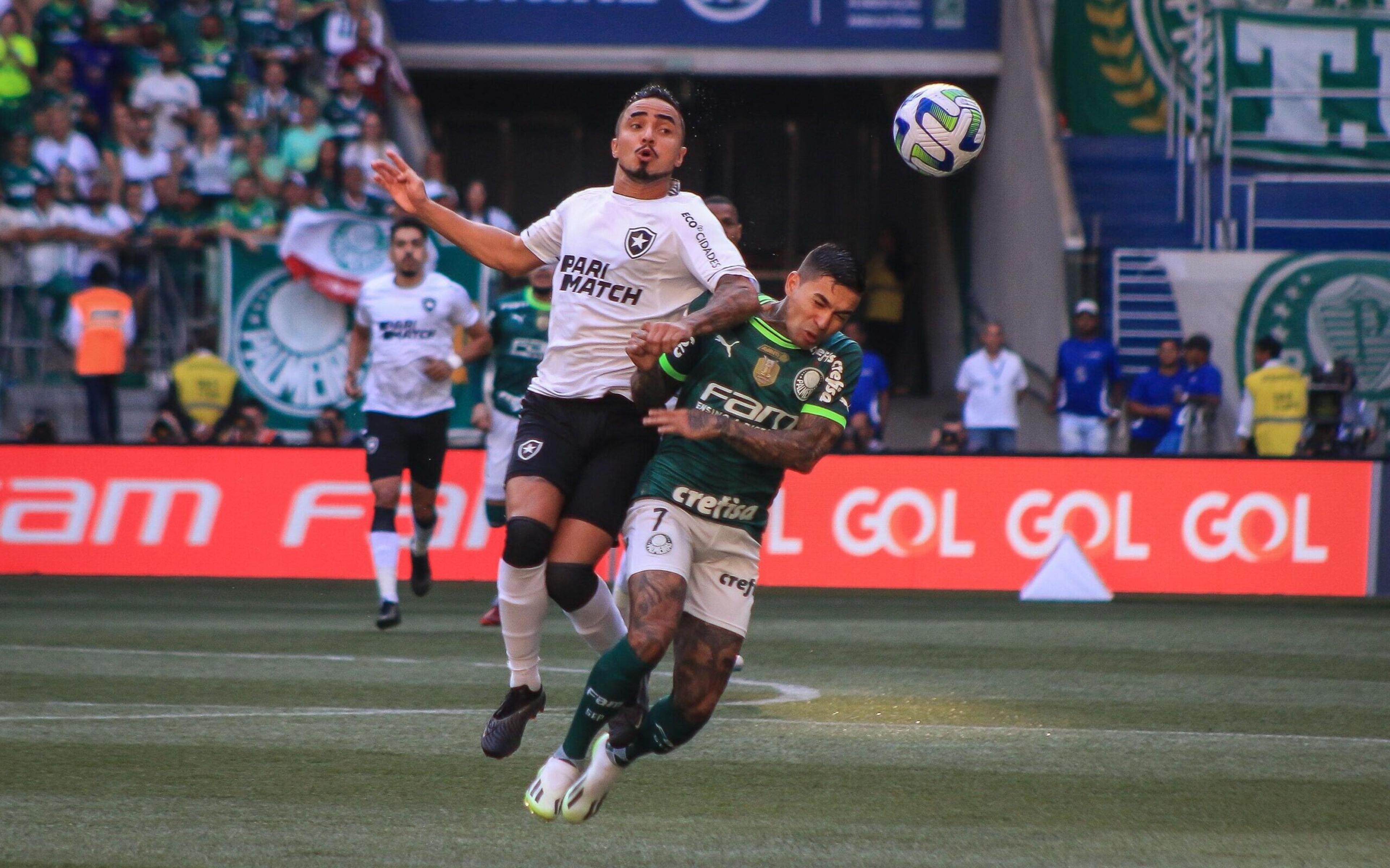 Ídolo do Palmeiras diz que Botafogo ‘soube sofrer’ e admite derrota: ‘Resultado justo’