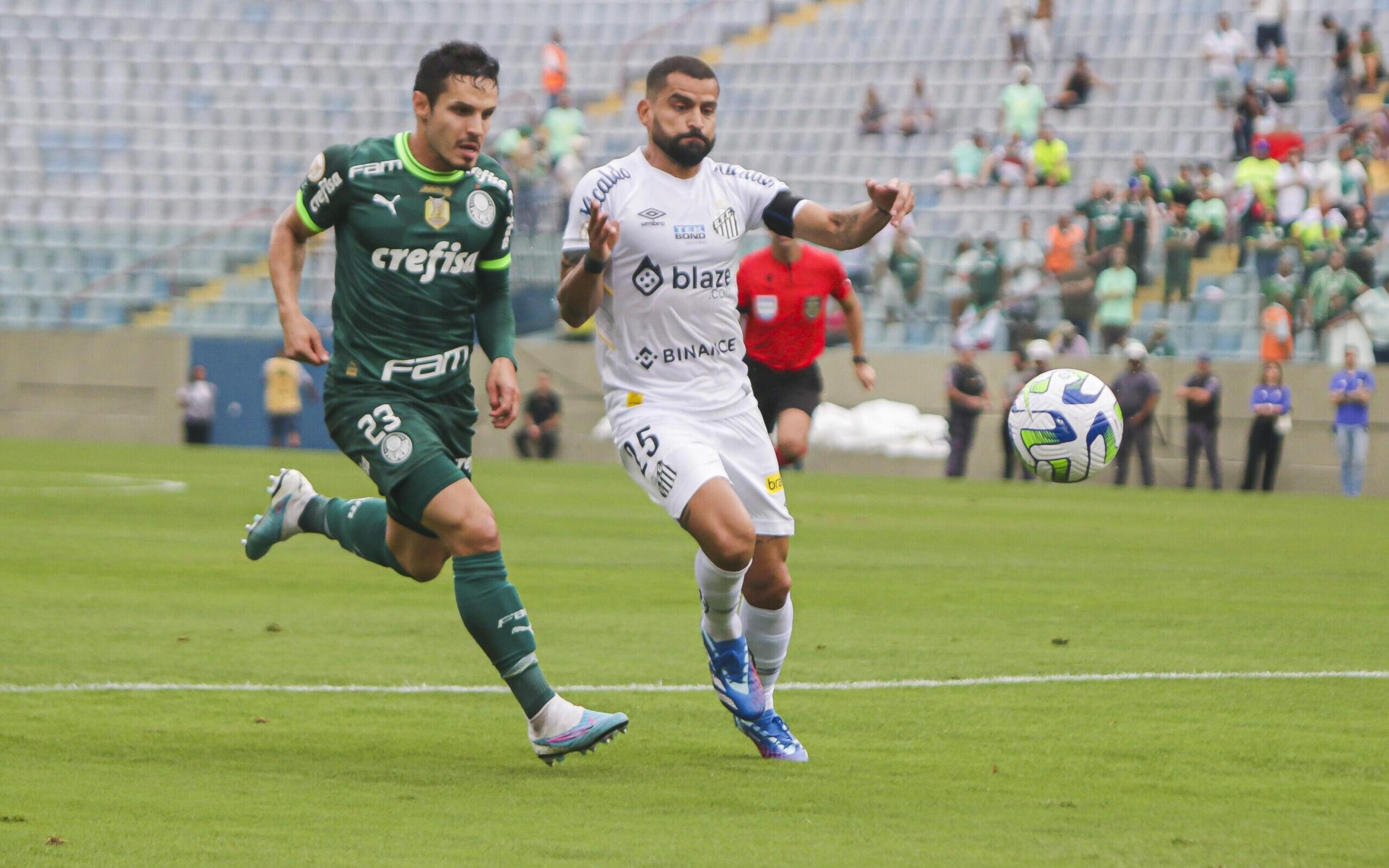 Assista aos melhores momentos de Palmeiras x Santos