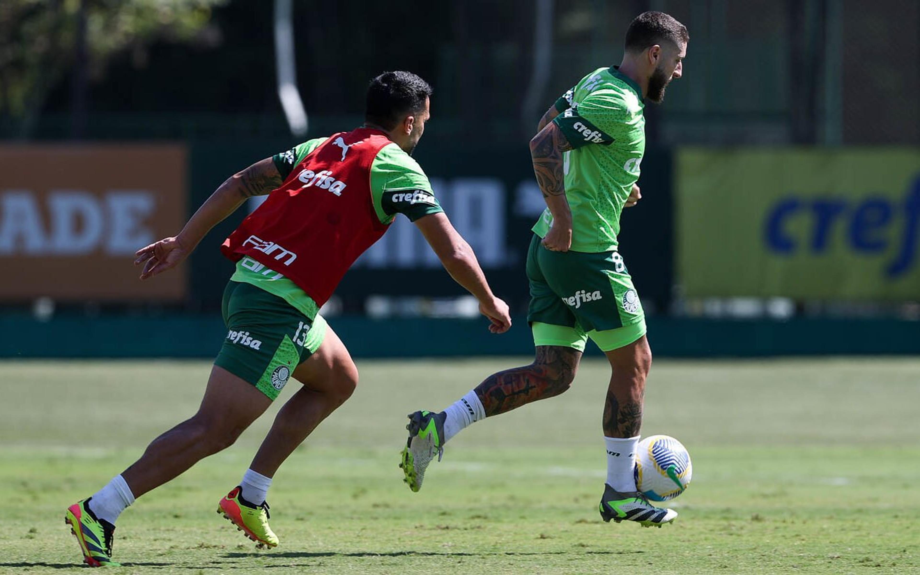 Palmeiras se reapresenta e deve ter importante reforço para estreia na Copa do Brasil