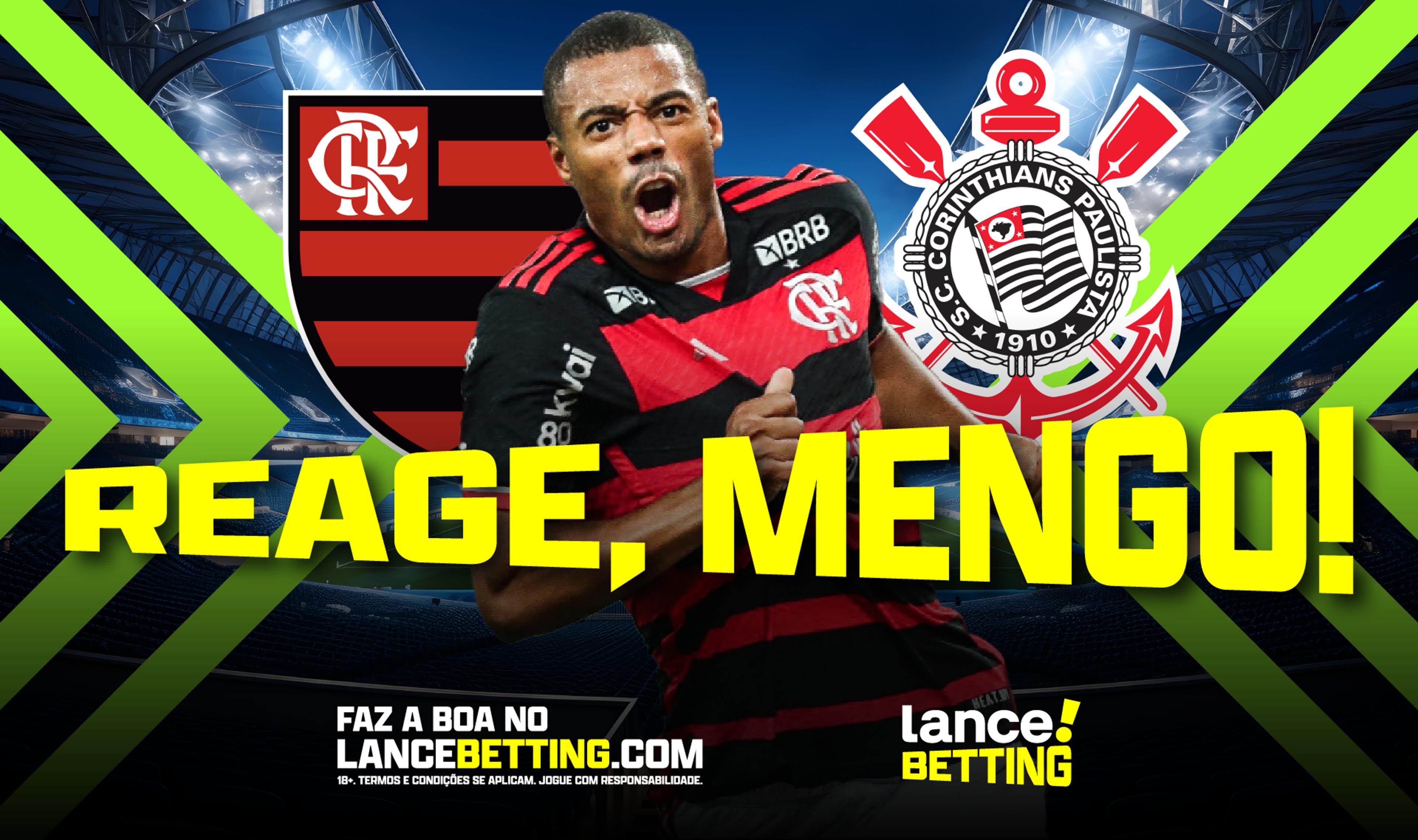 imagem da materia