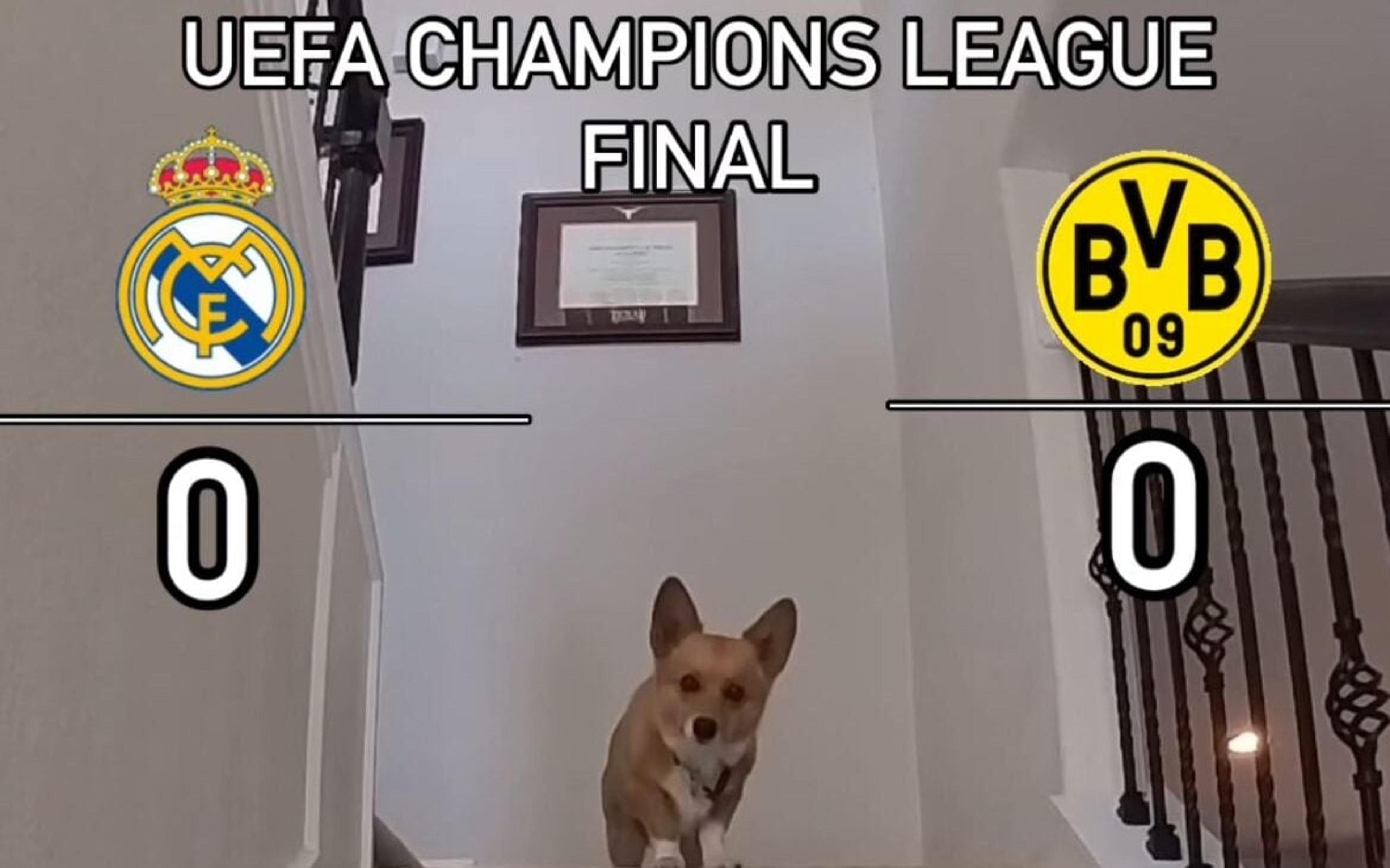 Cachorro vidente revela quem será campeão da Champions League