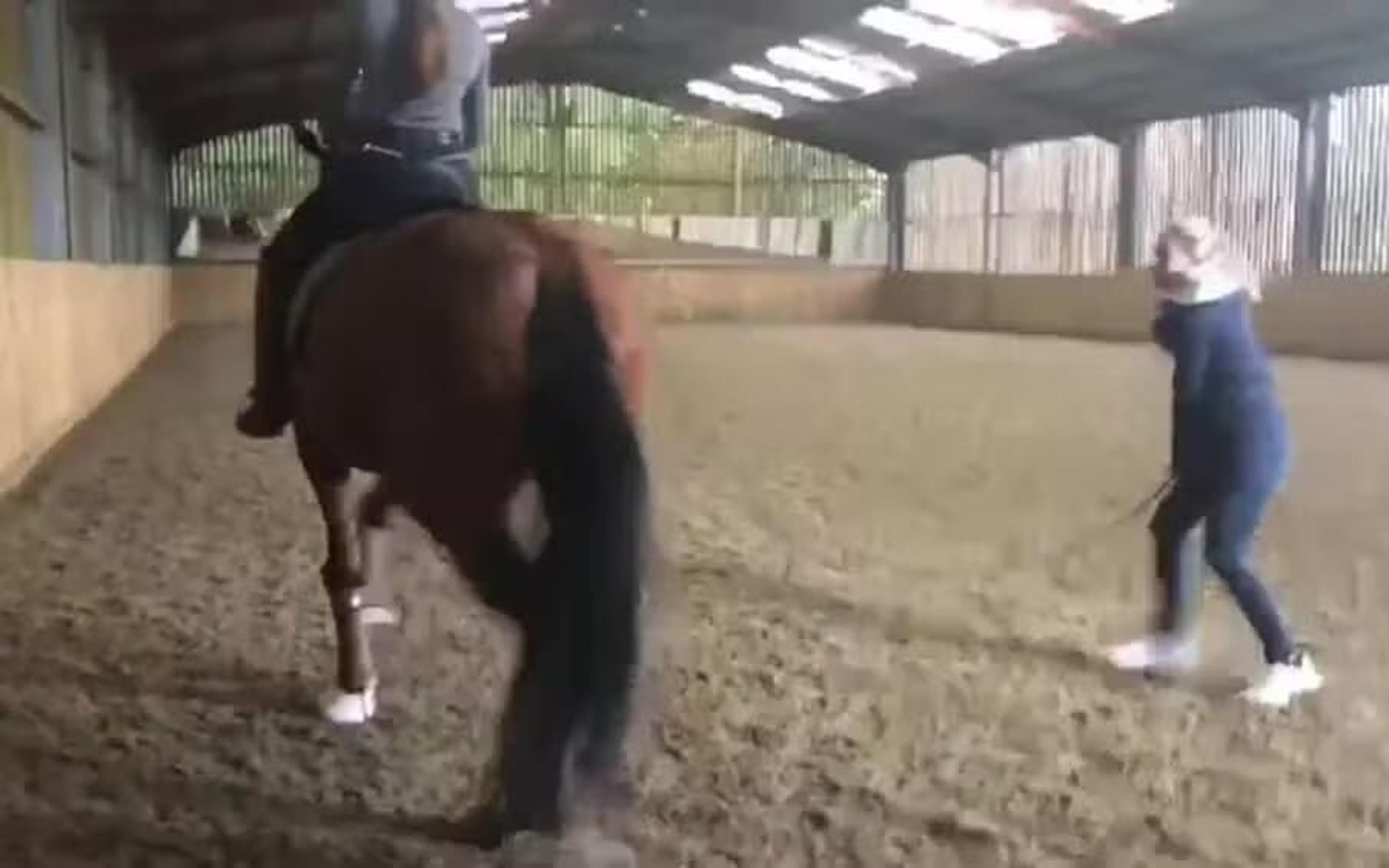 VÍDEO: Atleta britânica de hipismo chicoteia cavalo em aula, e está fora das Olimpíadas; federação inglesa se manifesta