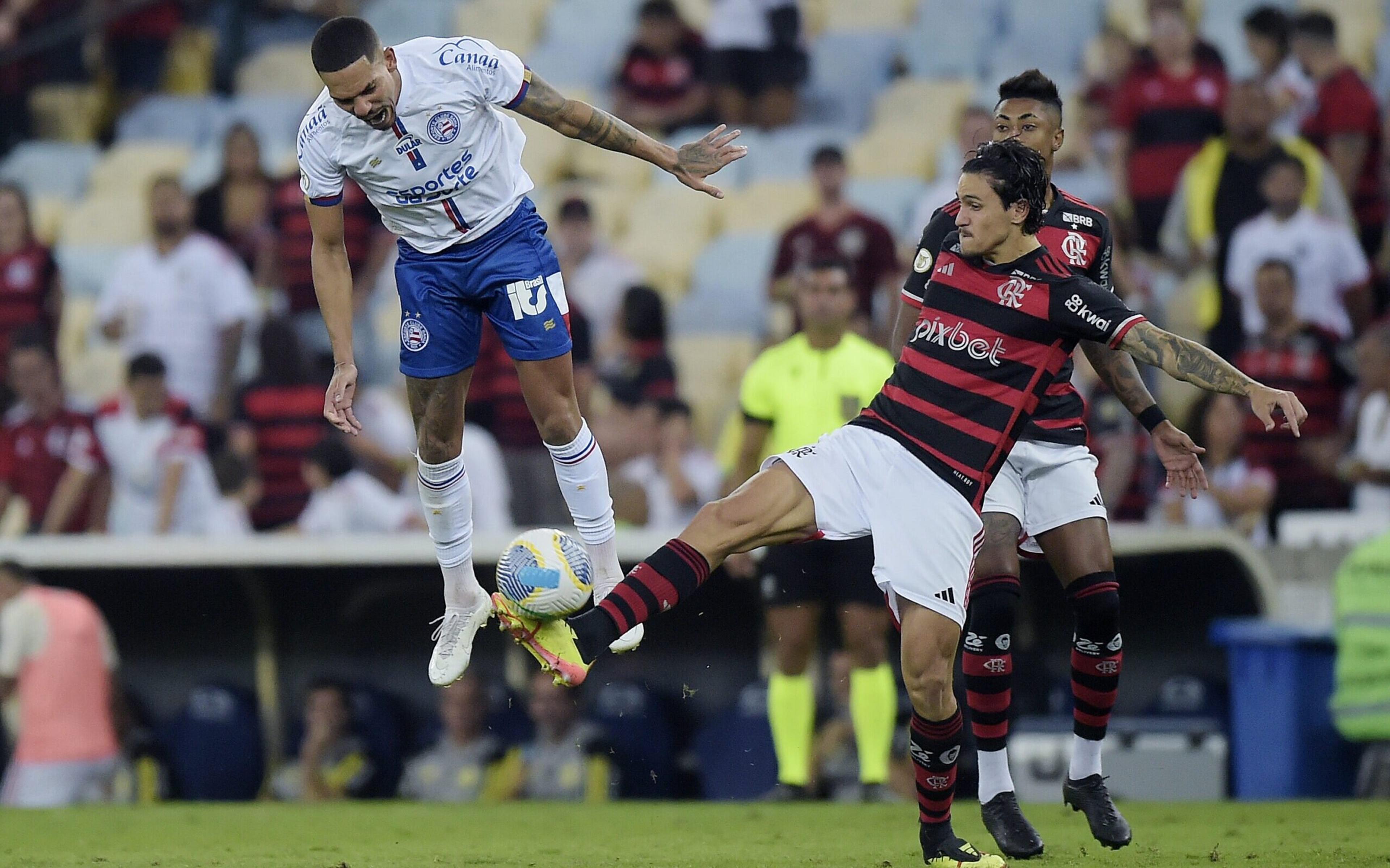 Bahia x Flamengo: times duelam na Copa do Brasil com diferentes histórias e muito dinheiro