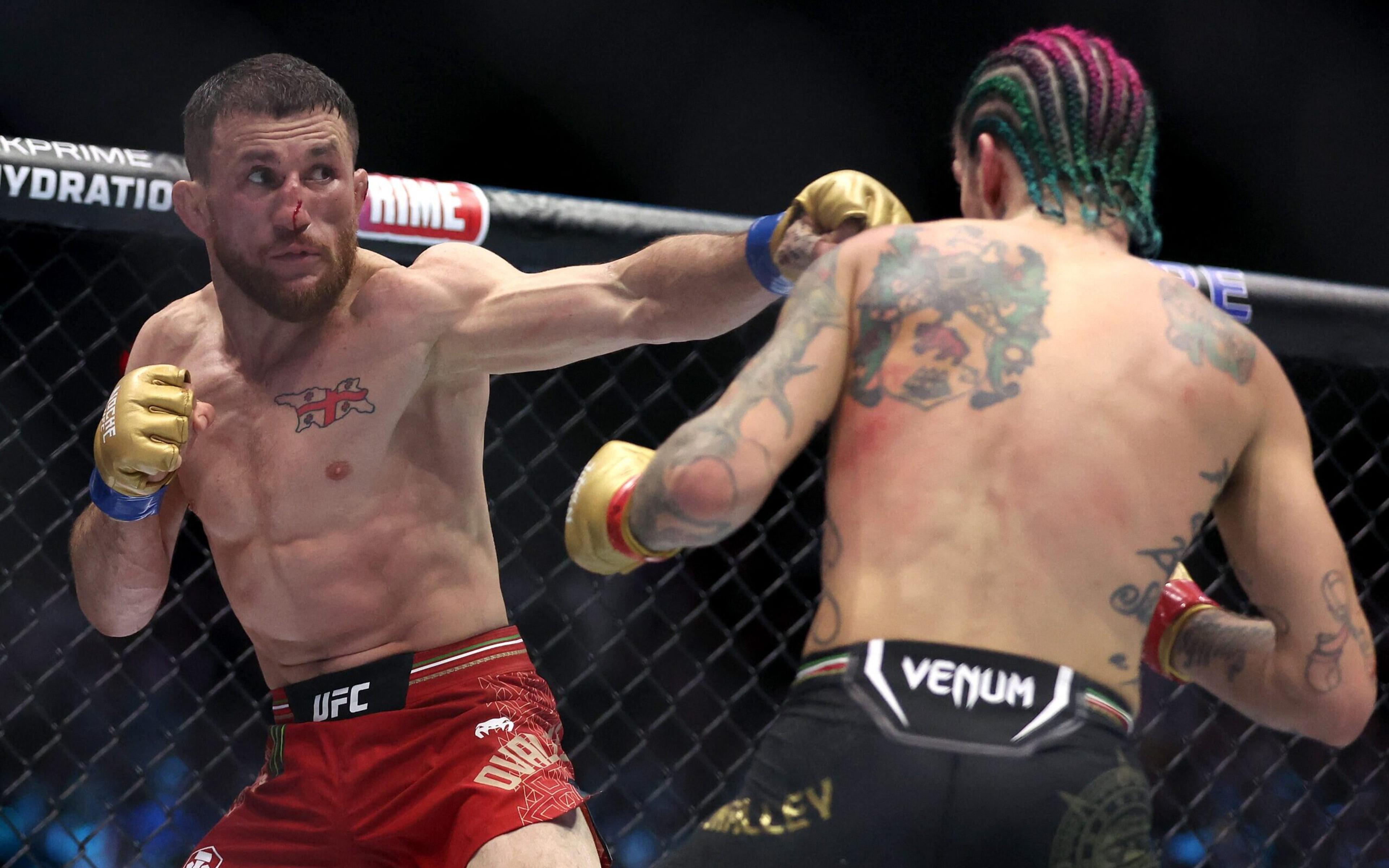 Dvalishvili tira cinturão de O’Malley no UFC! Veja todos os atuais campeões