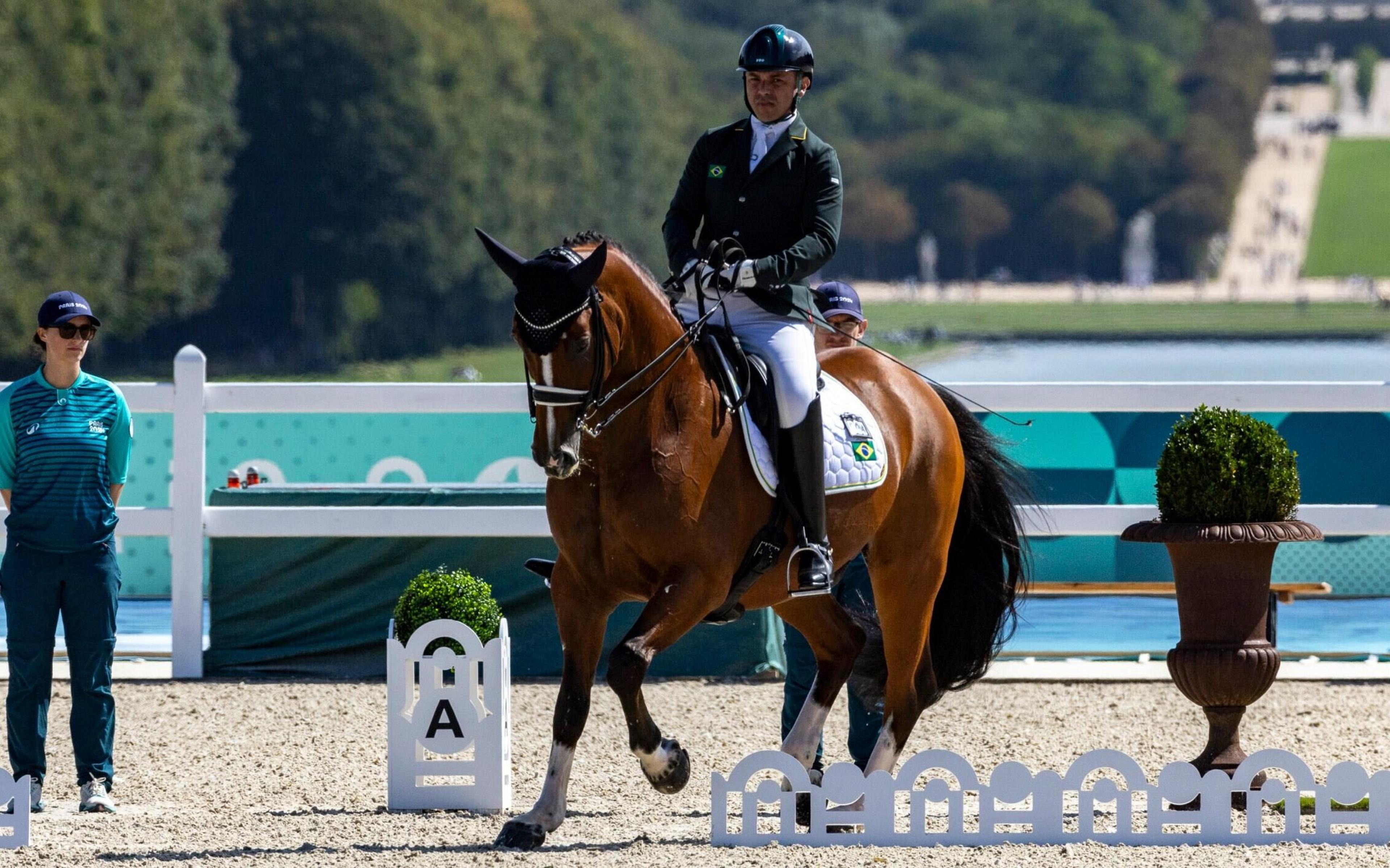 Abelha assusta cavalo e tira chance de medalha brasileira no hipismo das Paralimpíadas