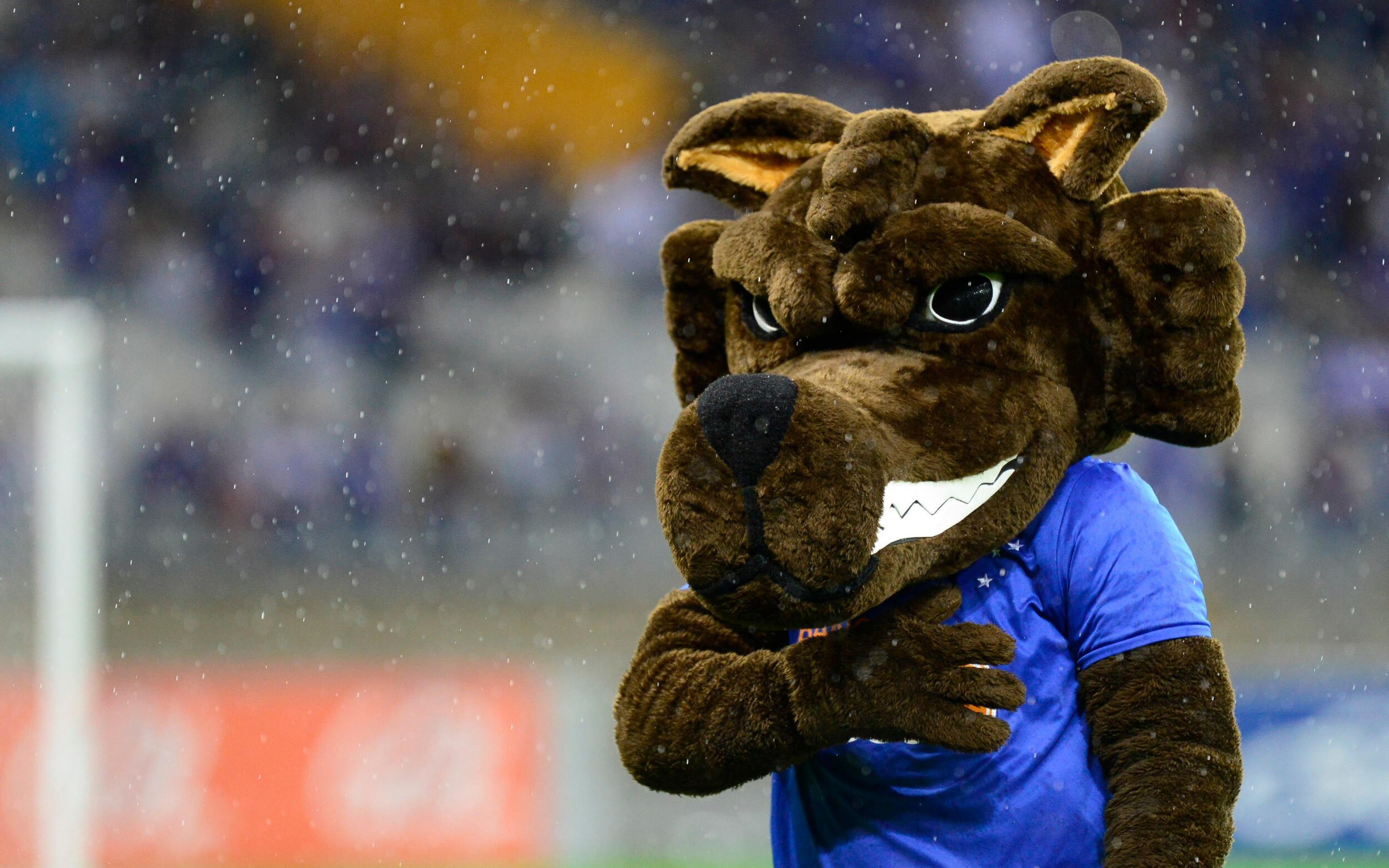 Mascote do Cruzeiro: veja versões e história