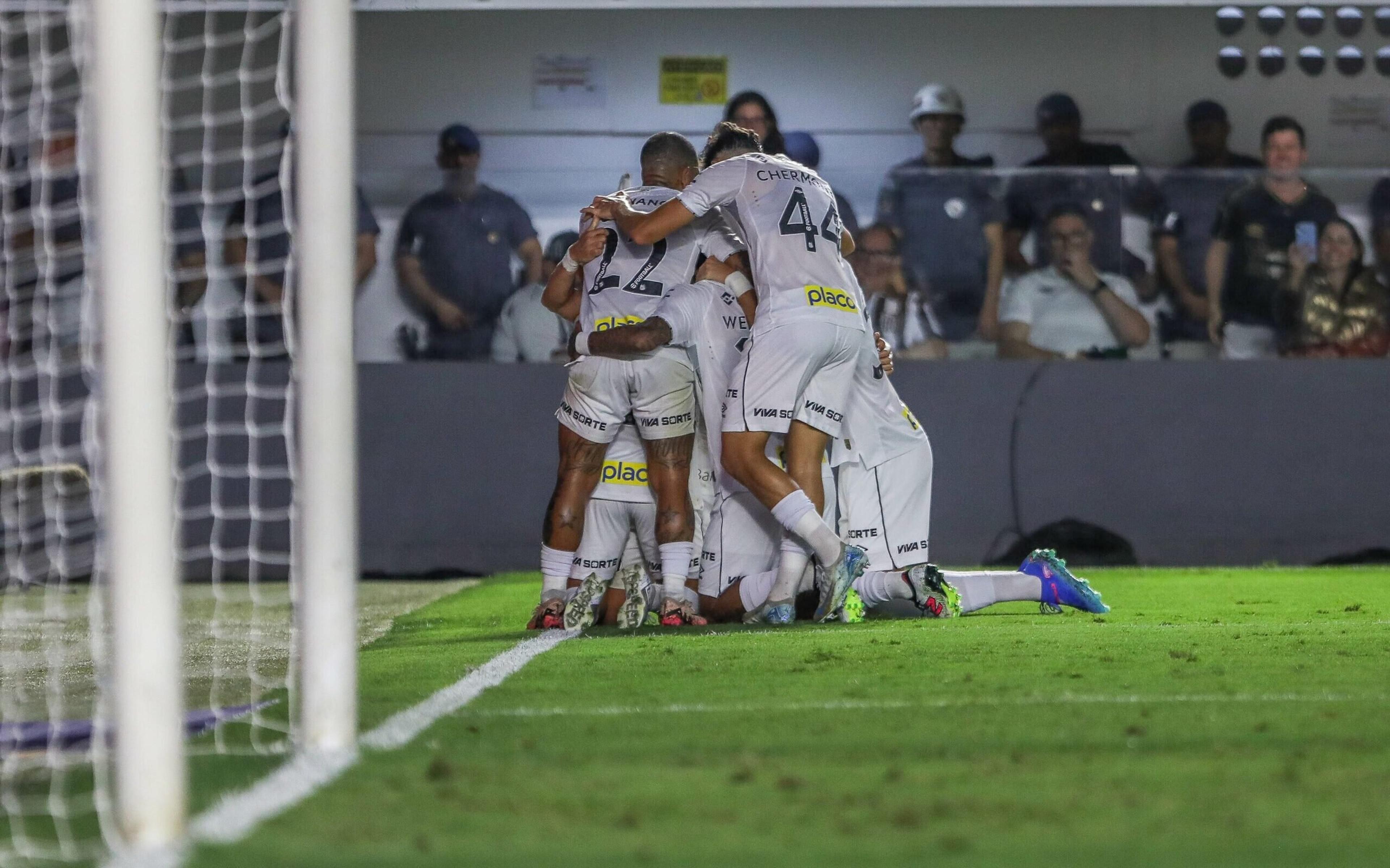 Santos deve passar por reformulação no elenco para a próxima temporada