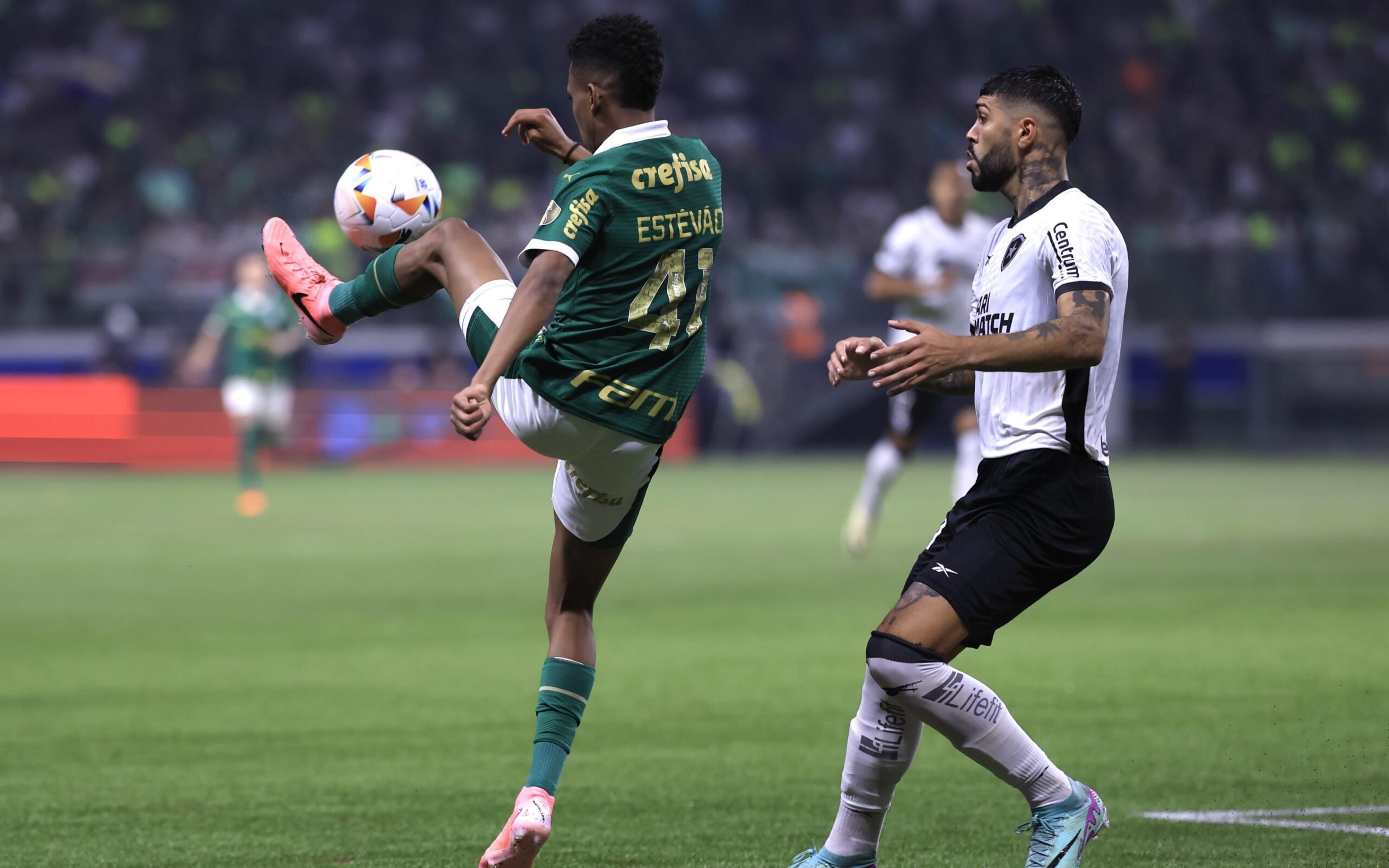 Palmeiras inicia venda de ingressos contra o Botafogo e terá público reduzido