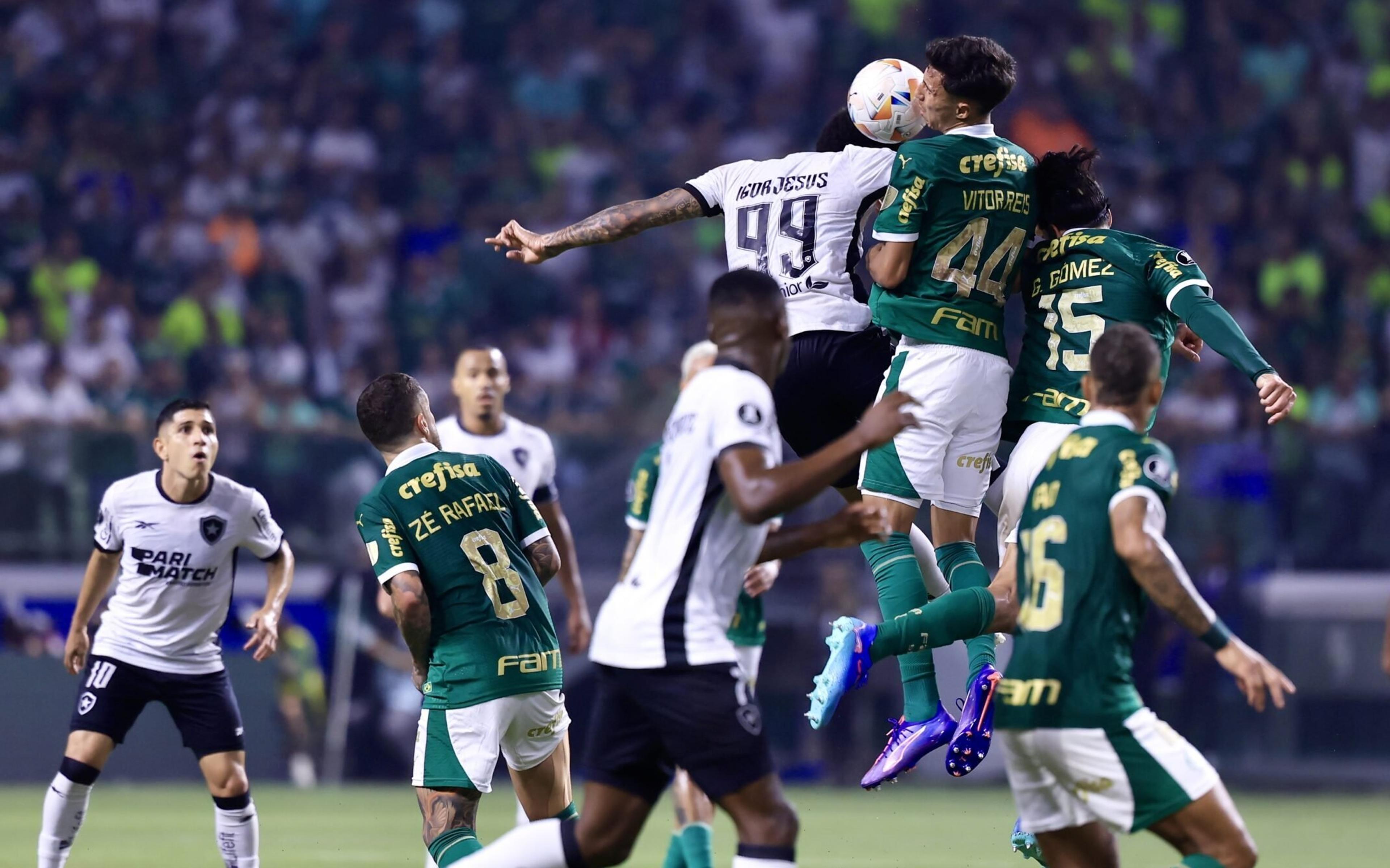 Palmeiras x Botafogo no Brasileirão: o que está em jogo?