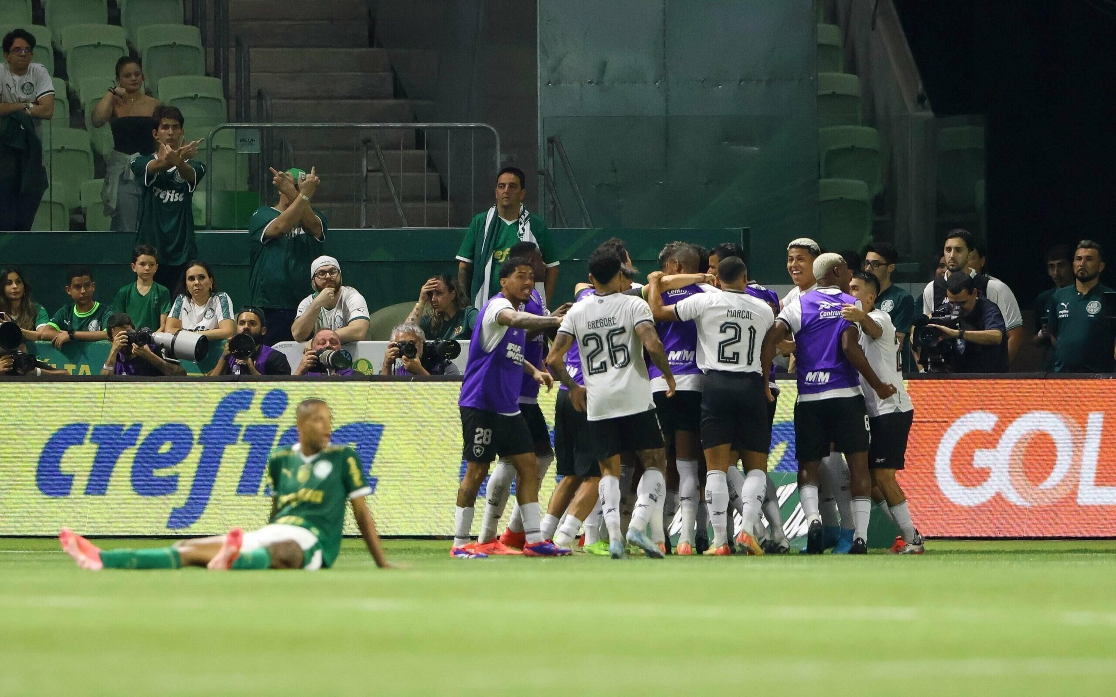 Brasileirão: veja as chances de título após a vitória do Botafogo sobre o Palmeiras