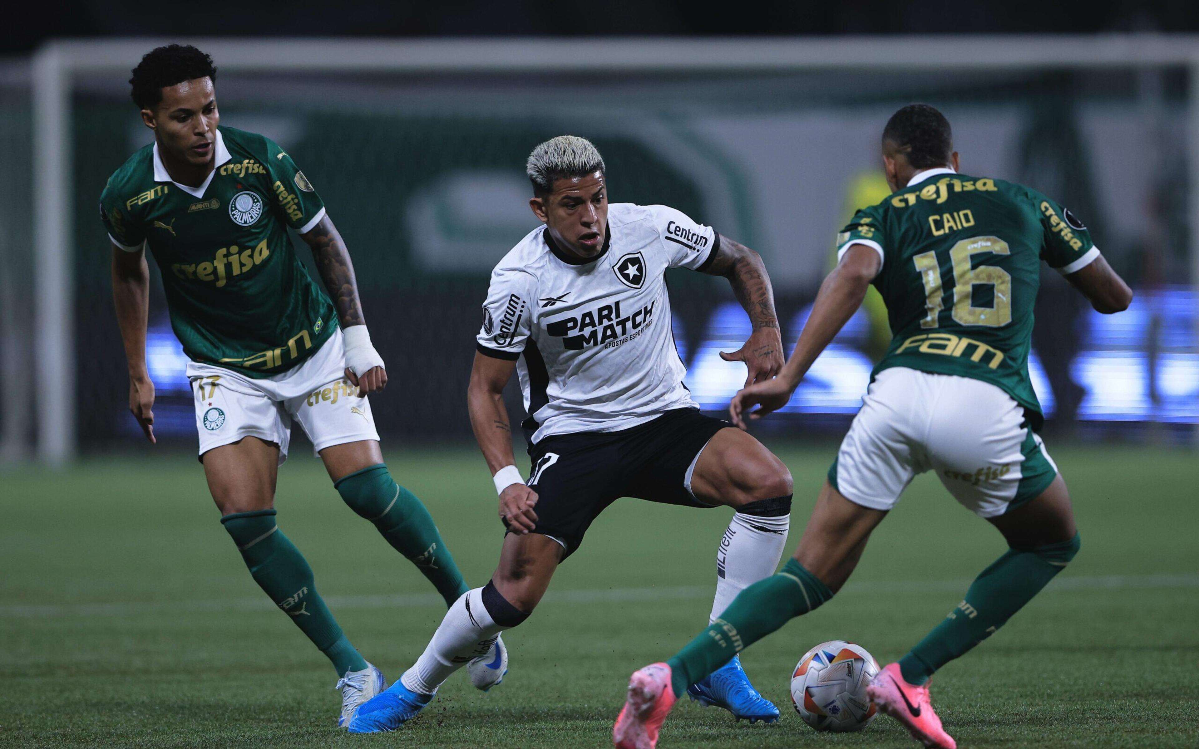 PVC analisa Palmeiras x Botafogo no Brasileirão e escolhe vencedor