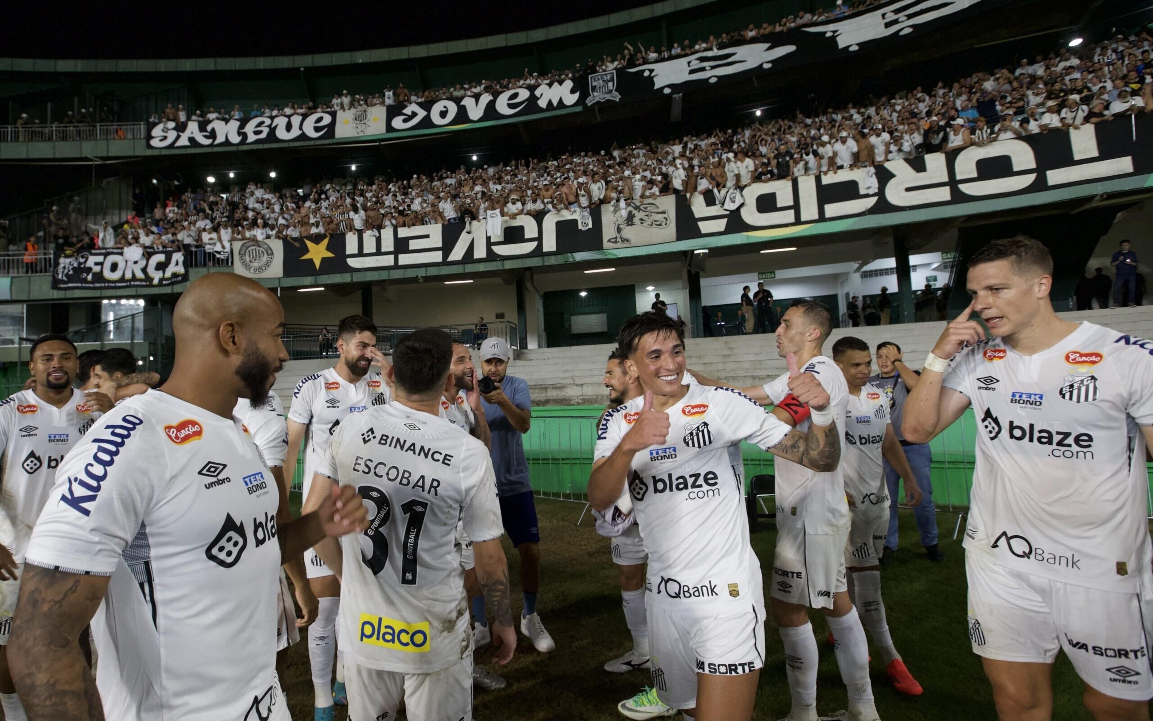 Campeão da Série B, Santos encerra jejum de oito anos sem título