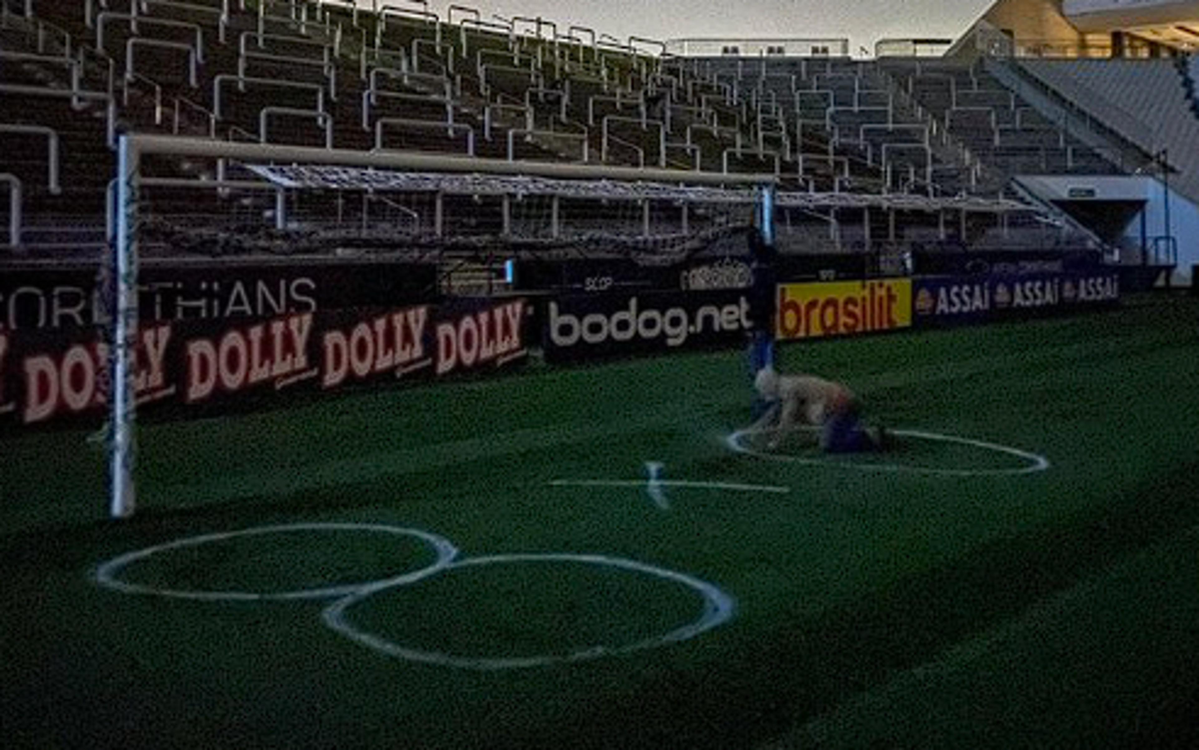 Torcedores do Palmeiras comparam provocação histórica com cabeça de porco