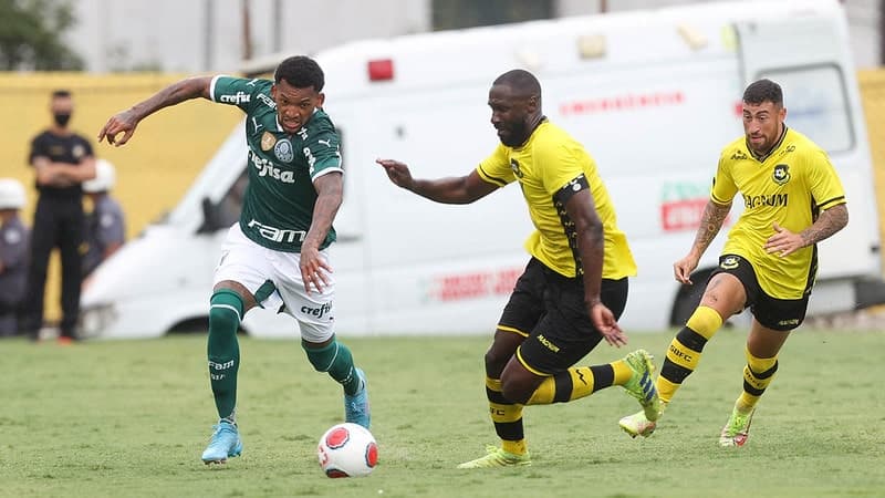 PALMEIRAS X SÃO BERNARDO AO VIVO ONLINE COM IMAGENS GRÁTIS HOJE