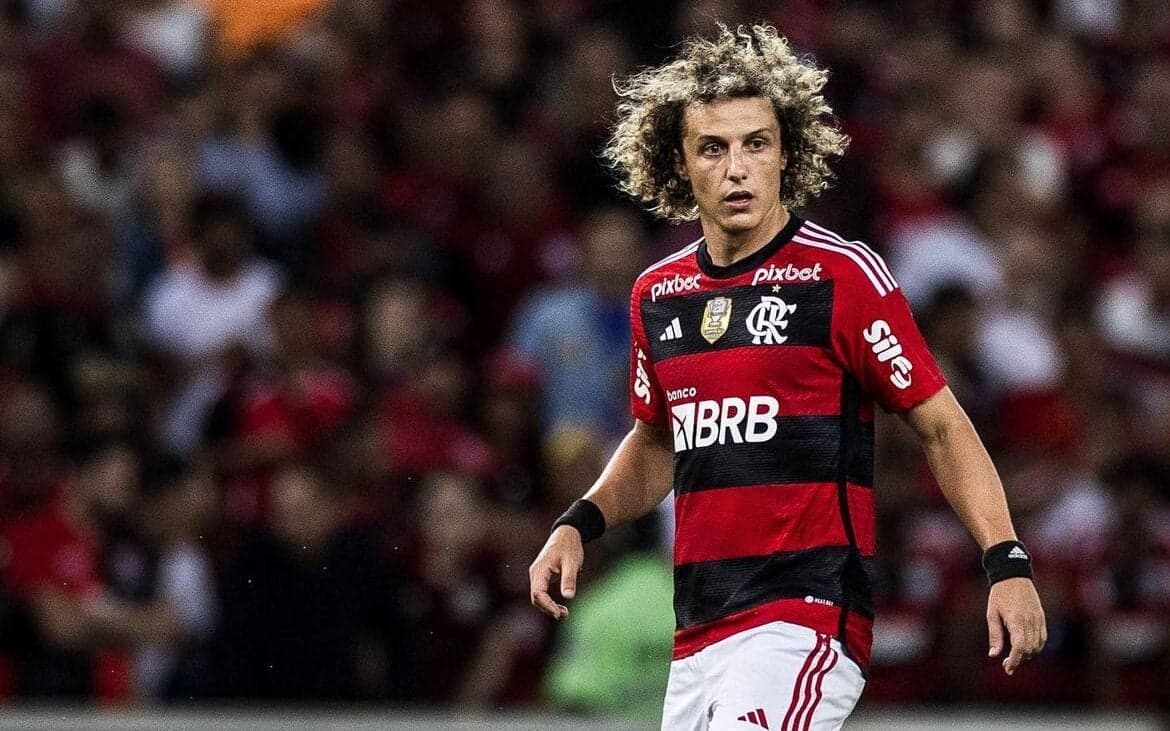 David luiz, Flamengo