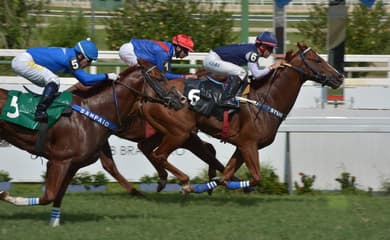 Corrida no Hipódromo – Só Jogo