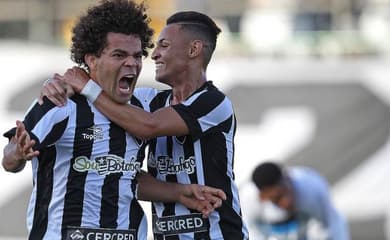 Botafogo x Grêmio: confira onde assistir, informações e prováveis