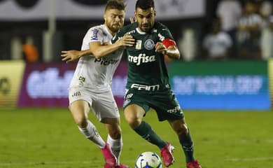 Santos x Palmeiras: onde assistir, escalações e desfalques do jogo da 7ª  rodada do Brasileirão - Lance!