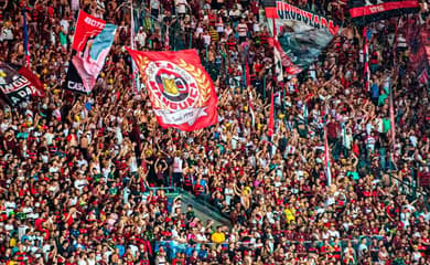 Torcida do Flamengo compra mais da metade dos ingressos para jogo nos  Estados Unidos - Lance!