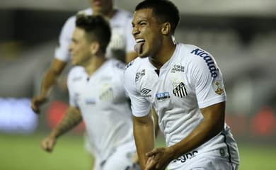 Após derrota do Santos, Inter comemora fato de ser último sul