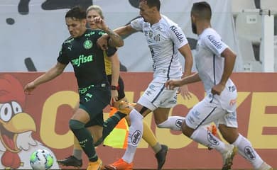 A tabela do Palmeiras: veja os próximos jogos e simule a reta final, palmeiras