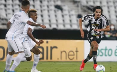 Montenegro se pronuncia sobre rebaixamento do Botafogo, e chama