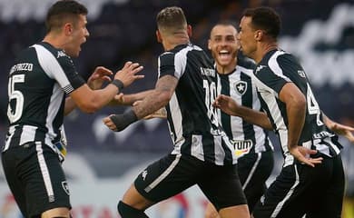 GUIA DO BRASILEIRÃO: sob pressão e sem dar show, Botafogo precisa de  mudanças para voltar à Série A - Lance!