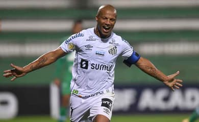 Santos detalha venda de ingressos para primeiro jogo das quartas - Diário  do Peixe