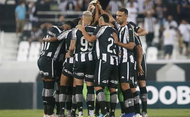 Botafogo de Futebol e Regatas - De olho no acesso