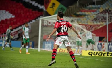 Renato Gaúcho celebra apoio da torcida do Flamengo a Isla - Esportes - R7  Futebol