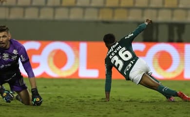 Palmeiras deve aproveitar quatro destaques da base no time profissional -  Lance!