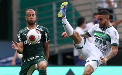 São Bernardo x Palmeiras: veja onde assistir, escalações