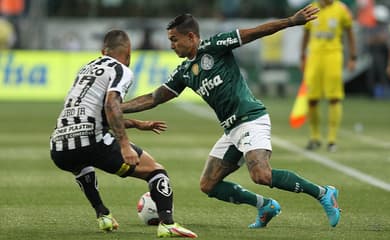 Palmeiras x Santos ao vivo e online; saiba horário e onde assistir ao  Brasileirão · Notícias da TV