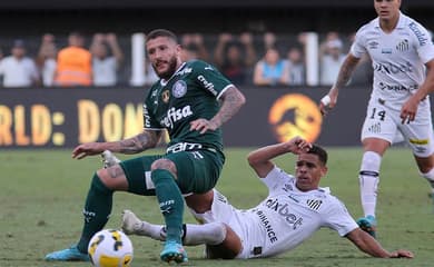 Brasileirão 2019: Saiba como assistir Palmeiras x São Paulo ao vivo na TV e  online · Notícias da TV