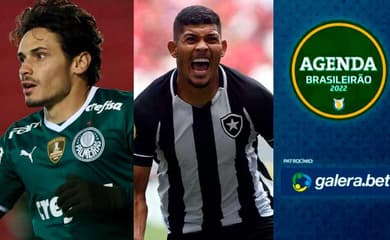 Palmeiras x Botafogo ao vivo: veja horário e onde assistir online