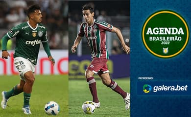 Palmeiras x Goiás: veja como assistir ao jogo ao vivo online