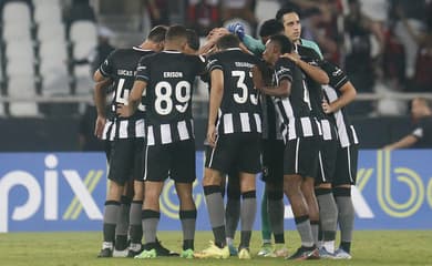 Contra o Goiás, Botafogo atingirá número histórico de público no Nilton  Santos em jogos pelo Brasileirão - Lance - R7 Futebol