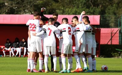 Ponte Preta - São Paulo, Campeonato Paulista