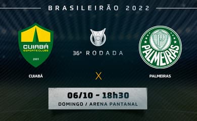 Tudo que você precisa saber antesd e assistir o jogo do Palmeiras