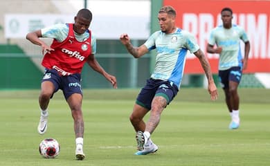 Palmeiras se reapresenta com treino técnico após classificação à