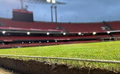 Novo gramado do Morumbi sobrevive à maratona de São Paulo e Palmeiras