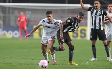 jogo sao paulo botafogo