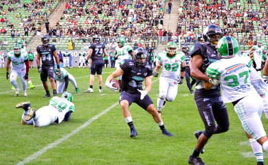 FEMFA - Federação Mineira de Futebol Americano