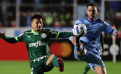 Palmeiras garante melhor campanha e vantagem para decidir até em final