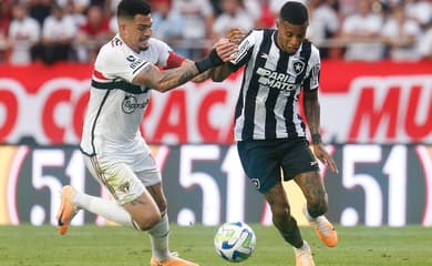 Com empate do Palmeiras, Botafogo nem precisa entrar em campo para seguir  líder do Brasileirão. : r/futebol