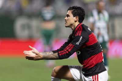 Maiores artilheiros do Brasileirão na década; veja
